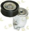 DR A118111200CA Tensioner Lever, v-ribbed belt